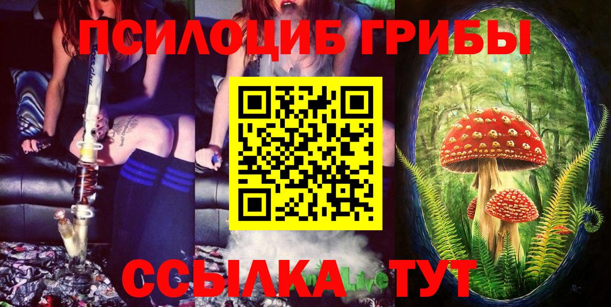 Псилоцибиновые грибы Psilocybe Сыктывкар